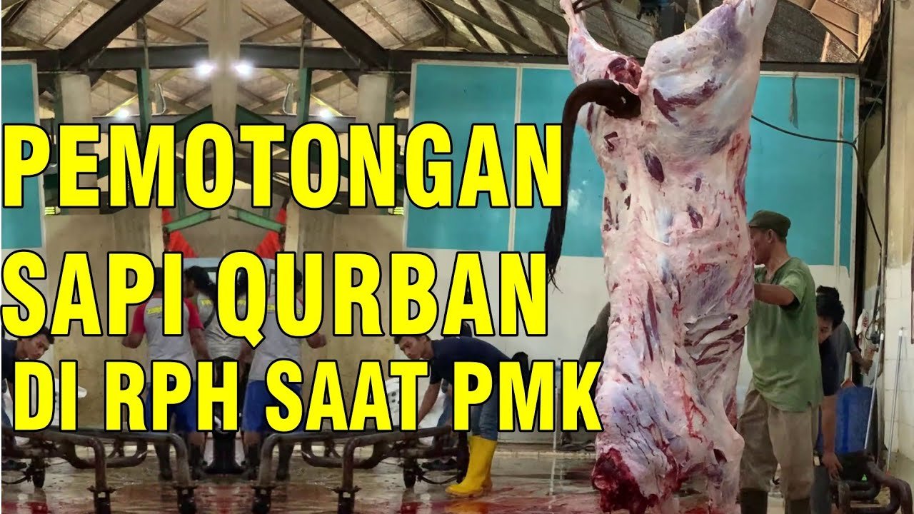 
                                 Pemotongan-Hewan-Qurban-Kemensos